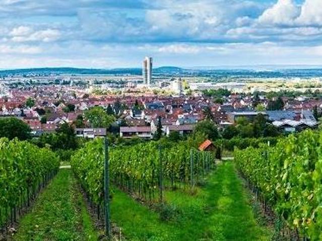 Immobilie kaufen in Gols, Burgenland