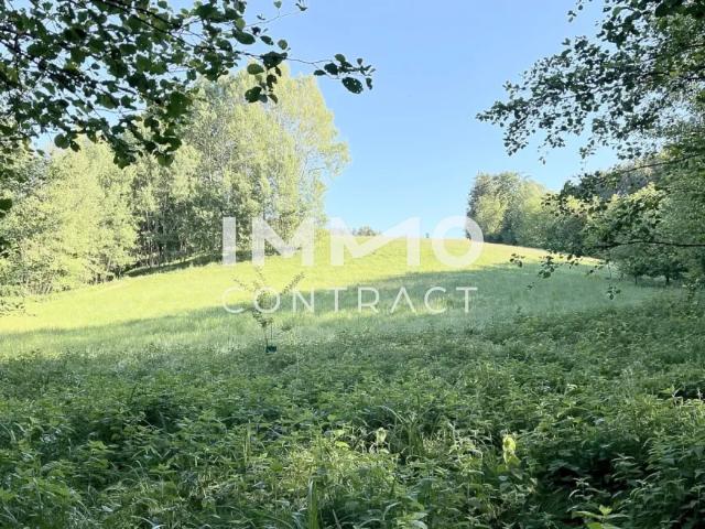 Grundstück kaufen in Ardagger, Niederösterreich