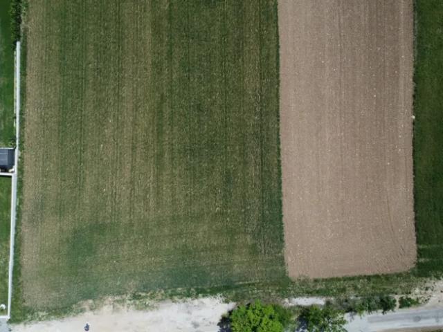 Grundstück kaufen in Bad Fischau-Brunn, Niederösterreich