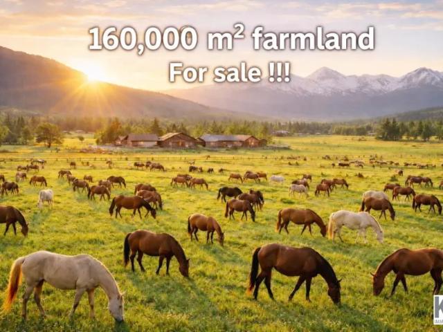 Grundstück kaufen in Mellau, Vorarlberg