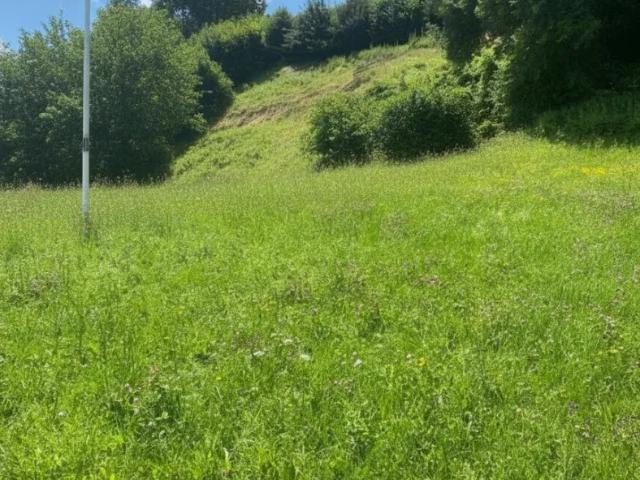 Grundstück kaufen in Mellau, Vorarlberg