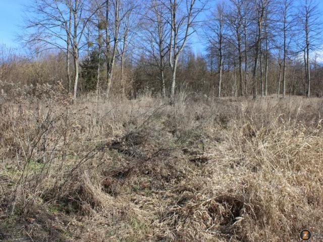 Grundstück kaufen in Bad Tatzmannsdorf, Burgenland