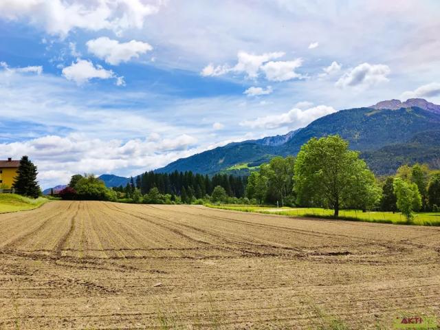 Grundstück kaufen in Berg im Drautal, Bezirk Spittal an der Drau