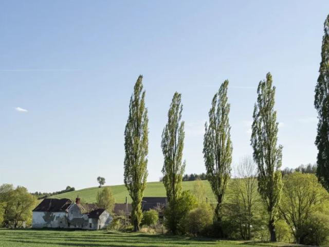 Grundstück kaufen in Bernstein, Burgenland