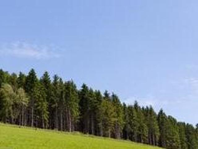 Grundstück kaufen in Vorarlberg