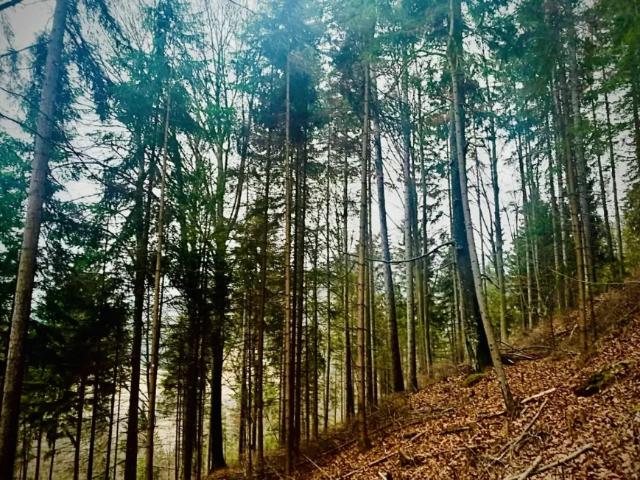 Grundstück kaufen in Bruck an der Mur, Steiermark
