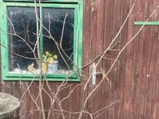 Grundstück kaufen in Brunn am Gebirge, Niederösterreich