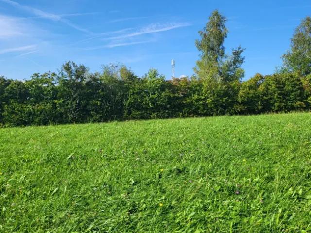 Grundstück kaufen in Diersbach, Oberösterreich