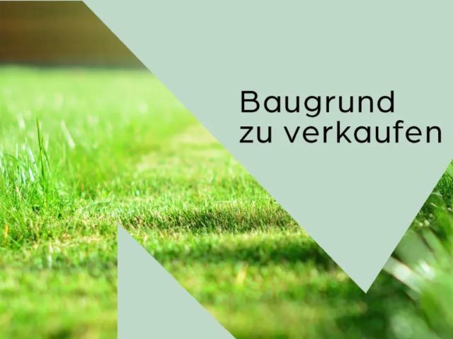 Grundstück kaufen in Staatz-Kautendorf, Niederösterreich