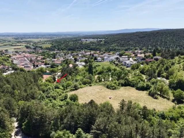 Grundstück kaufen in Enzesfeld-Lindabrunn, Niederösterreich