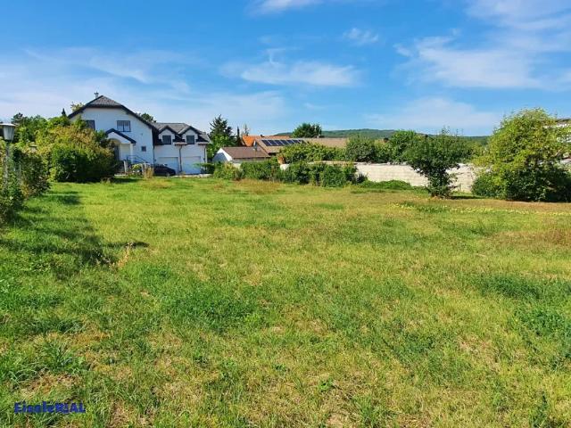Grundstück kaufen in Enzesfeld-Lindabrunn, Niederösterreich
