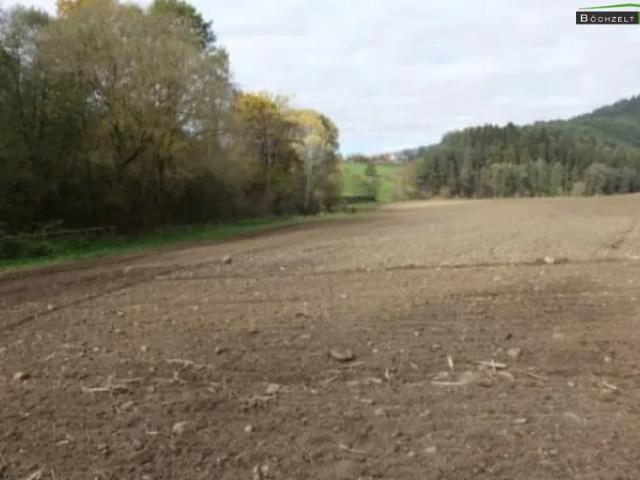 Grundstück kaufen in St. Marein bei Knittelfeld, Steiermark