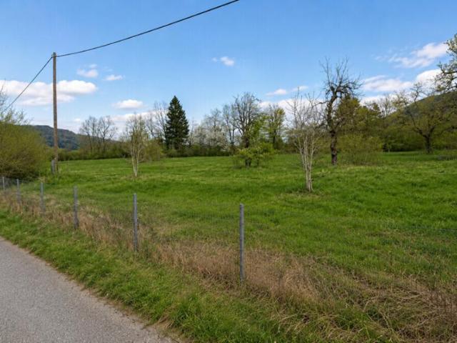 Grundstück kaufen in Feistritz im Rosental, Kärnten