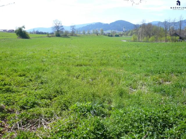 Grundstück kaufen in Feldkirchen in Kärnten, Kärnten