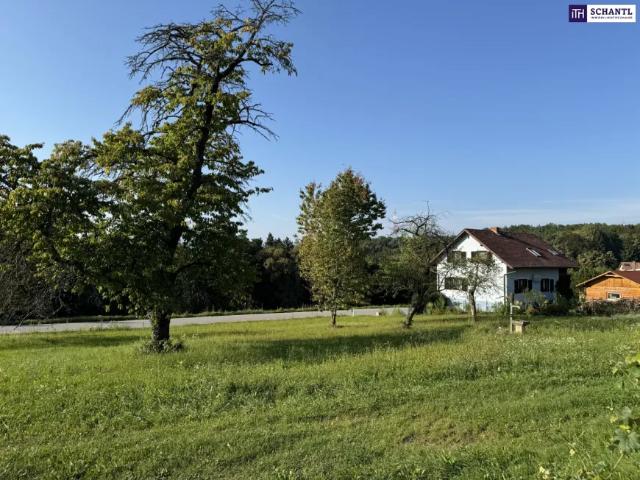 Grundstück kaufen in Grambach, Steiermark