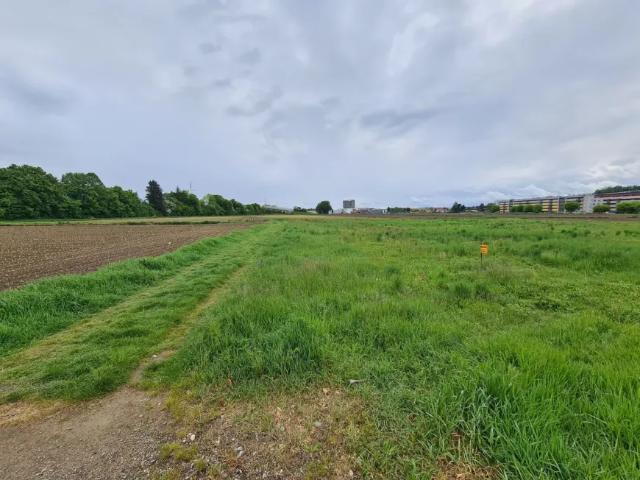 Grundstück kaufen in Andritz, Gersdorf-Feistritz