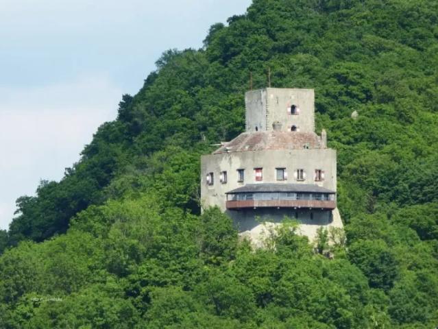 Grundstück kaufen in Greifenstein, Niederösterreich