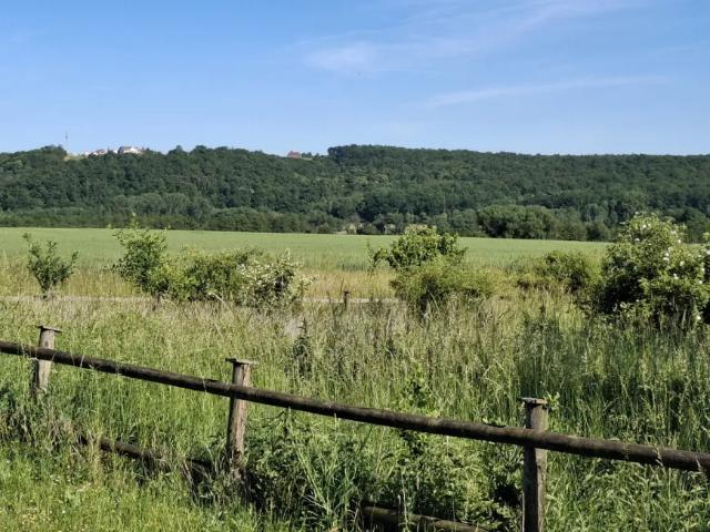 Grundstück kaufen in Großpetersdorf, Burgenland