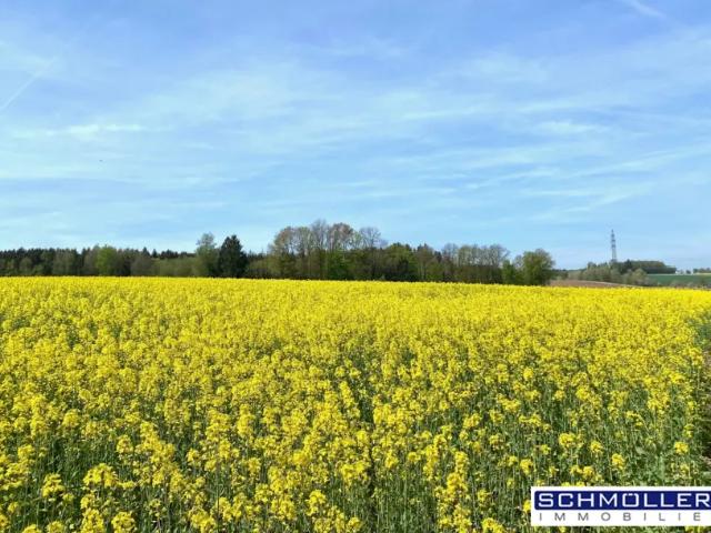 Grundstück kaufen in Ströblberg, Gunskirchen