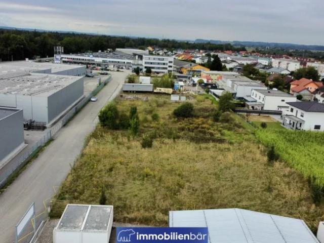 Grundstück kaufen in Ströblberg, Gunskirchen
