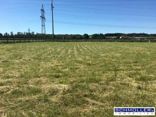 Grundstück kaufen in Ströblberg, Gunskirchen