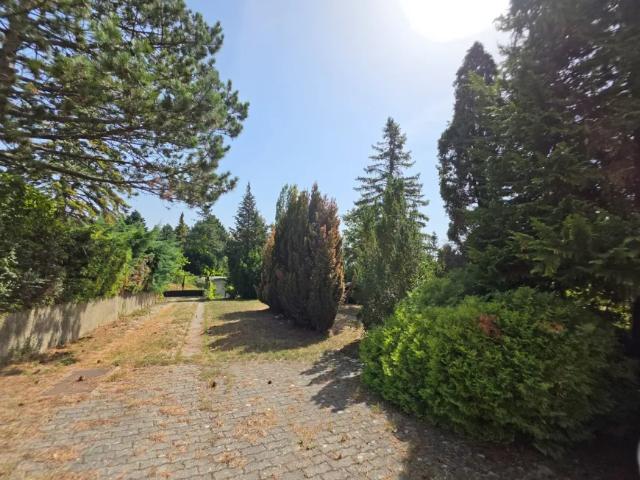 Grundstück kaufen in Katastralgemeinde Hagenbrunn, Hagenbrunn