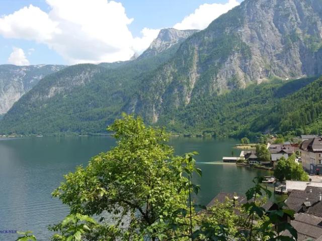 Grundstück kaufen in Hallstatt, Oberösterreich