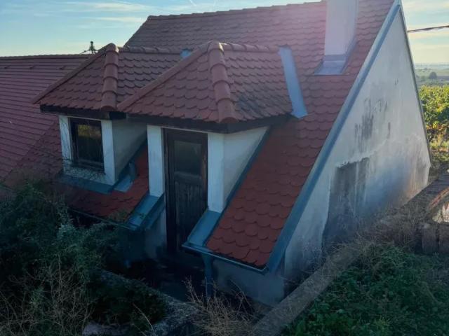 Grundstück kaufen in Katastralgemeinde Haugsdorf, Haugsdorf