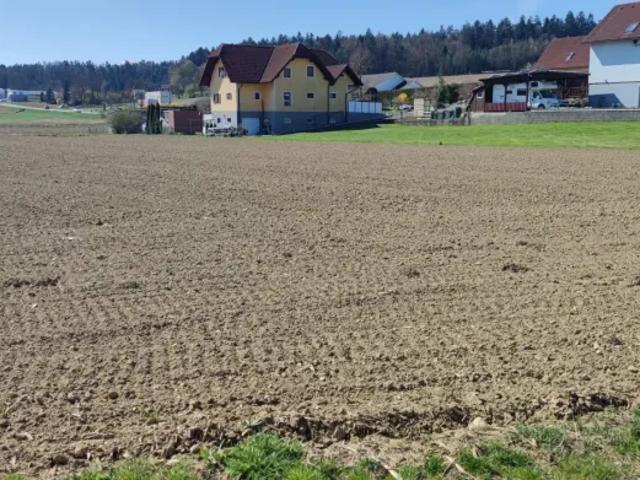 Grundstück kaufen in Heiligenkreuz am Waasen, Bezirk Leibnitz