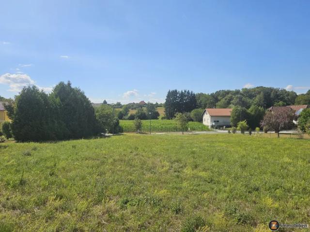 Grundstück kaufen in Heiligenkreuz im Lafnitztal, Burgenland