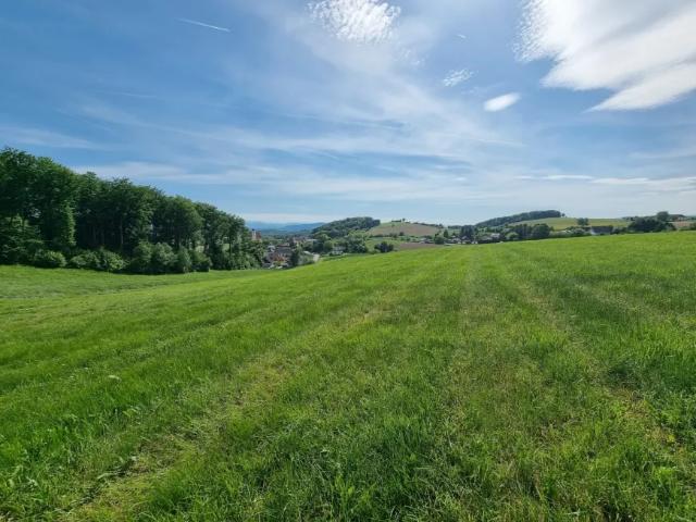 Grundstück kaufen in Heitzing, Karlstetten