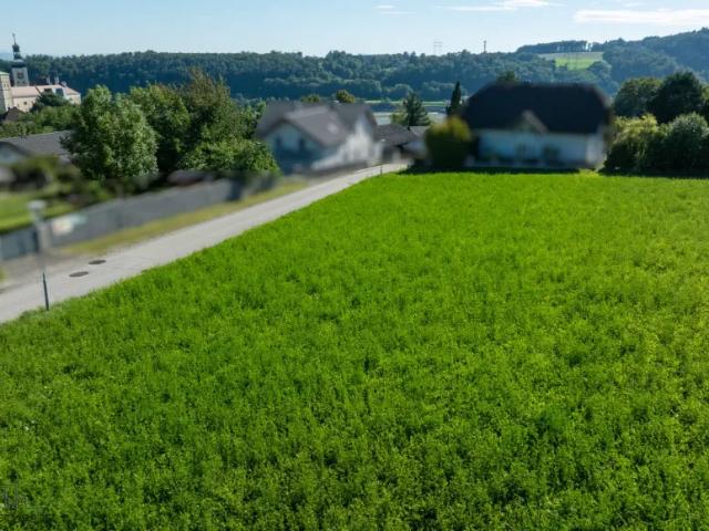 Grundstück kaufen in Hofamt Priel, Niederösterreich