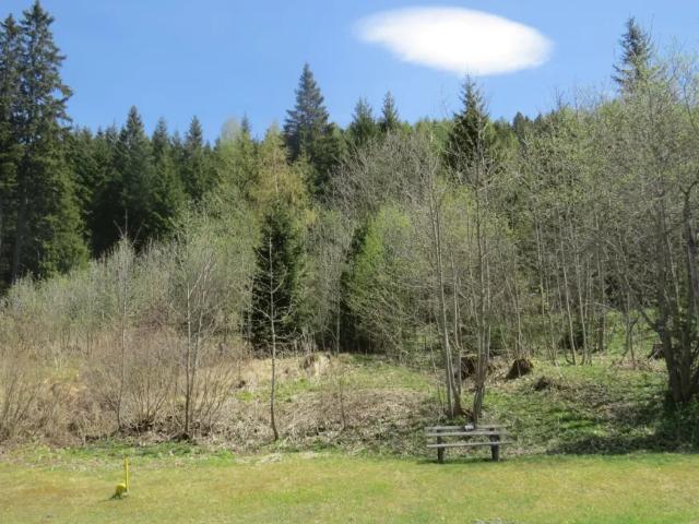 Grundstück kaufen in Hohentauern, Steiermark