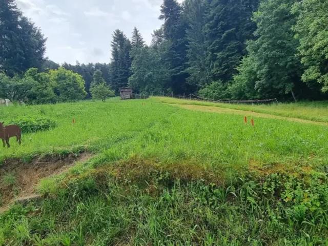 Grundstück kaufen in Hohenweiler, Vorarlberg
