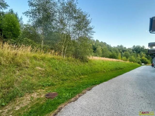 Grundstück kaufen in Langenwang, Steiermark