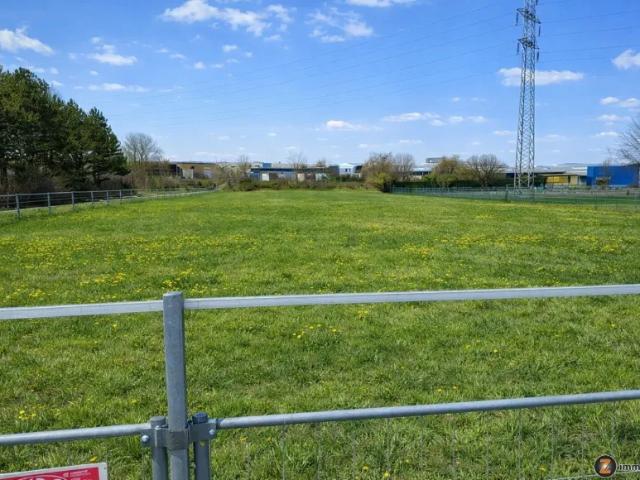 Grundstück kaufen in Hornstein, Burgenland