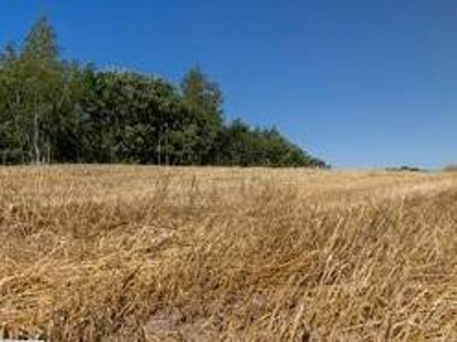 Grundstück kaufen in Illmitz, Burgenland