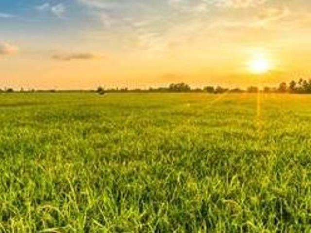 Grundstück kaufen in Illmitz, Burgenland