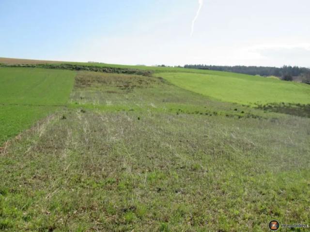 Grundstück kaufen in Jennersdorf, Burgenland