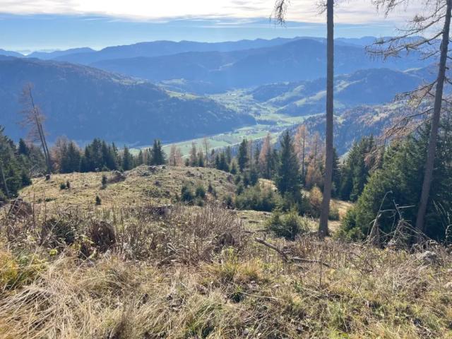 Grundstück kaufen in St. Peter am Kammersberg, Steiermark