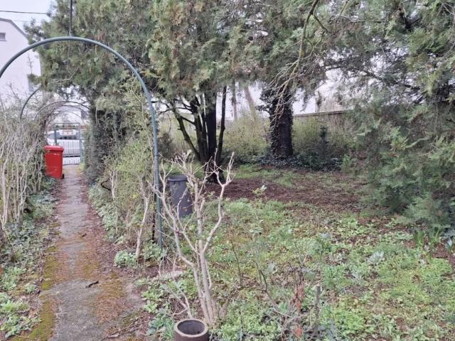 Grundstück kaufen in Kapellerfeld, Gerasdorf