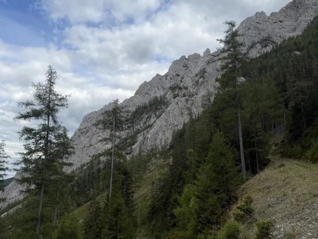 Grundstück kaufen in Kapfenberg, Steiermark