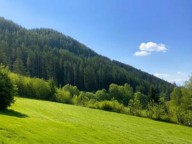 Grundstück kaufen in Kindberg, Steiermark
