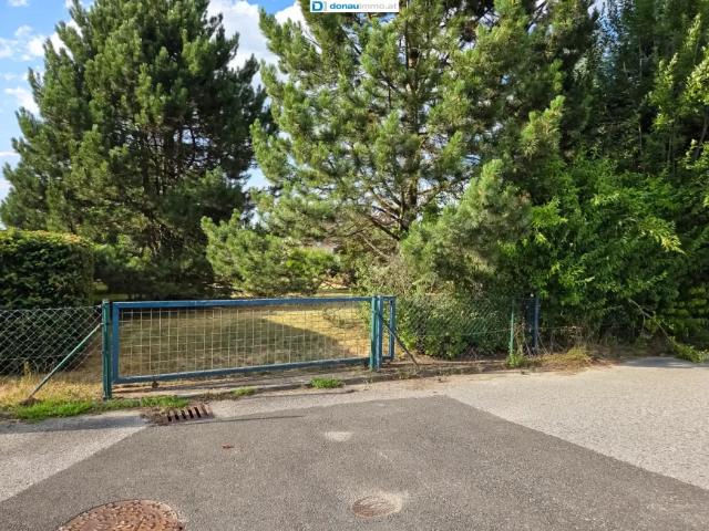 Grundstück kaufen in Kirchberg am Walde, Niederösterreich