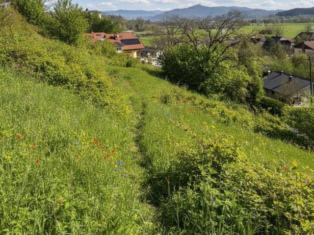 Grundstück kaufen in Klagenfurt, Kärnten