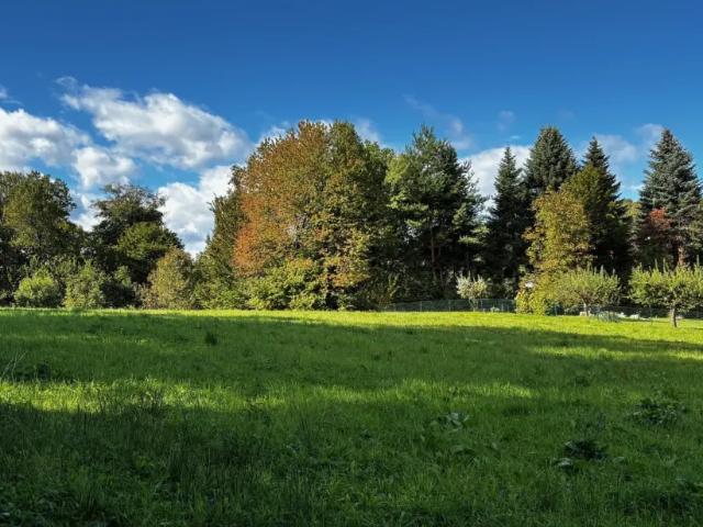Grundstück kaufen in Klöch, Steiermark