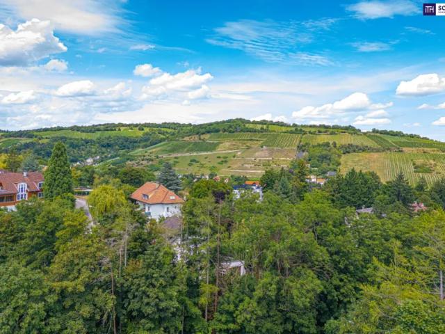 Grundstück kaufen in Klosterneuburg, Niederösterreich