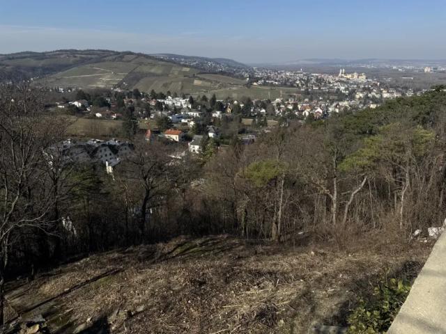 Grundstück kaufen in Klosterneuburg, Niederösterreich
