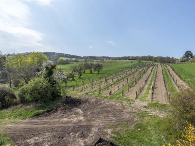 Grundstück kaufen in Klosterneuburg, Niederösterreich
