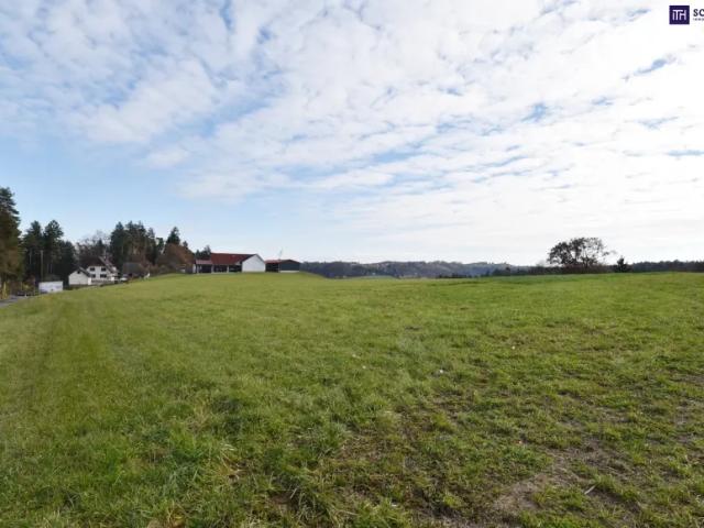Grundstück kaufen in Lannach, Steiermark